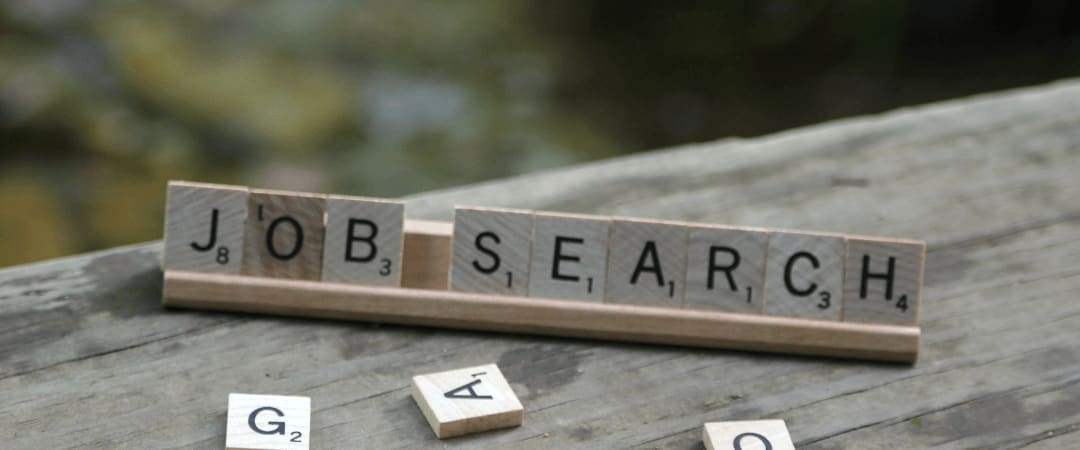 Career Strategy 2: Job Search
