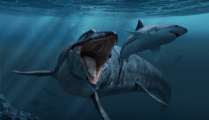 monster-chasing-shark